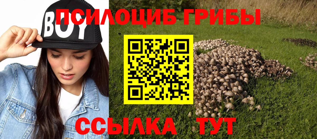 Псилоцибиновые грибы мицелий  Вход с VPN  Батайск 